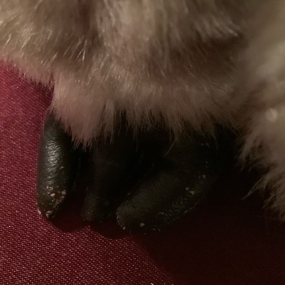 Vintage 1987 GUND Plush Owl Stuffed Animal Toy - Picture 10 of 12